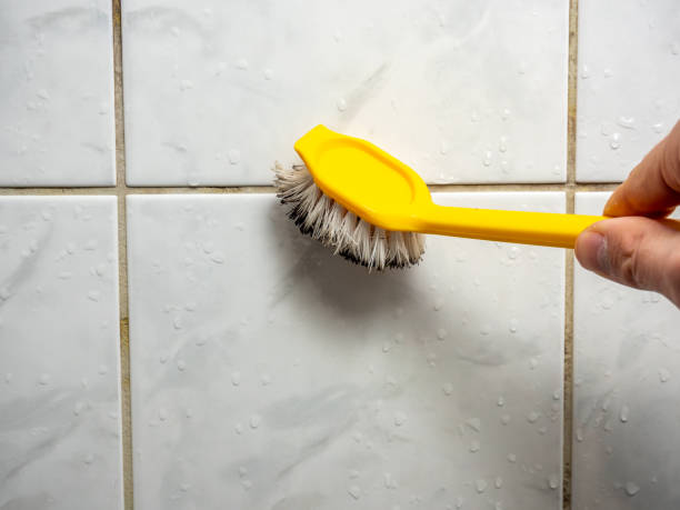 Best Mold Testing  in Abernathy, TX