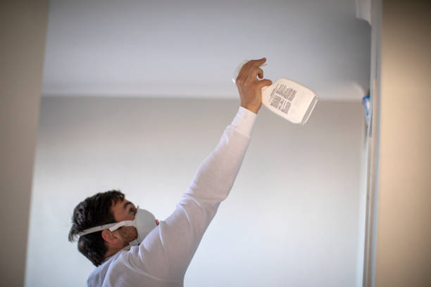 Best Mold Removal and Inspection  in Abernathy, TX
