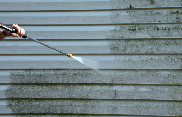 Professional Mold Removal in Abernathy, TX